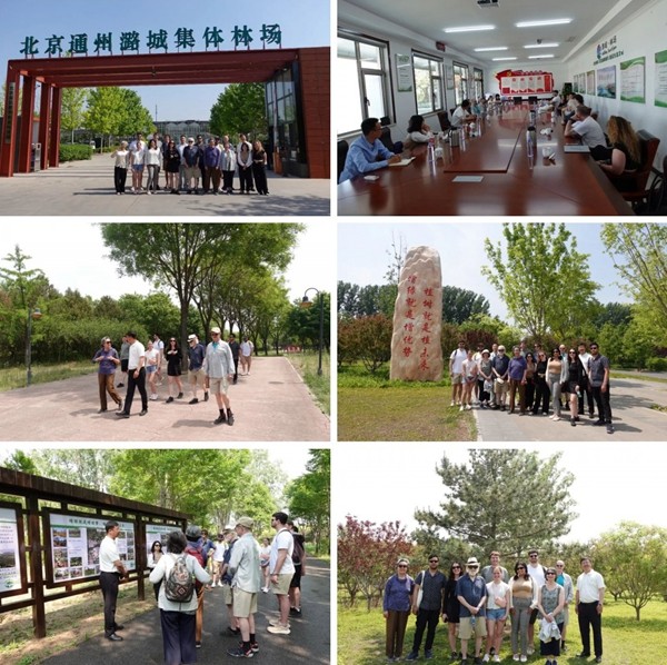 640 (1)_conew1.jpg